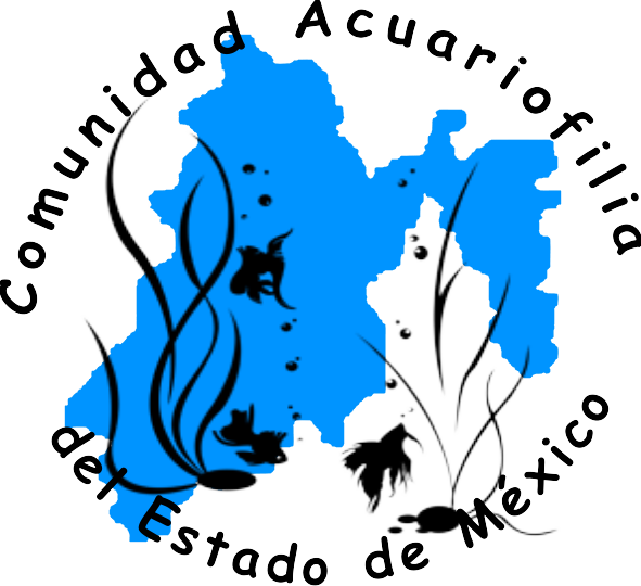 ACUARIO ALEX 