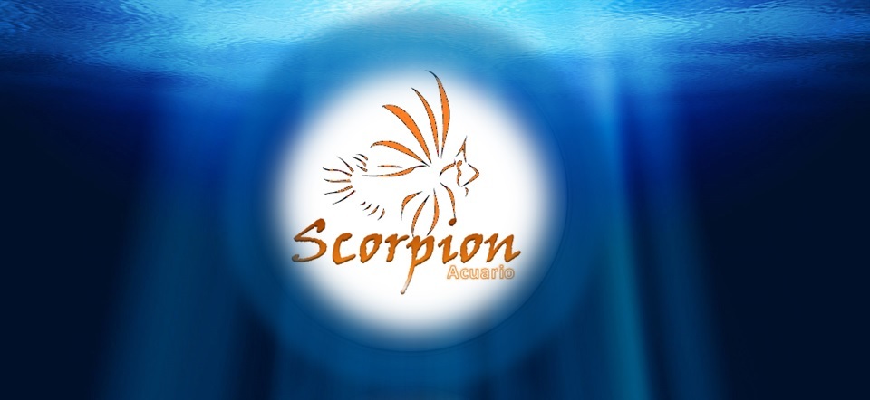 ACUARIO SCORPION 