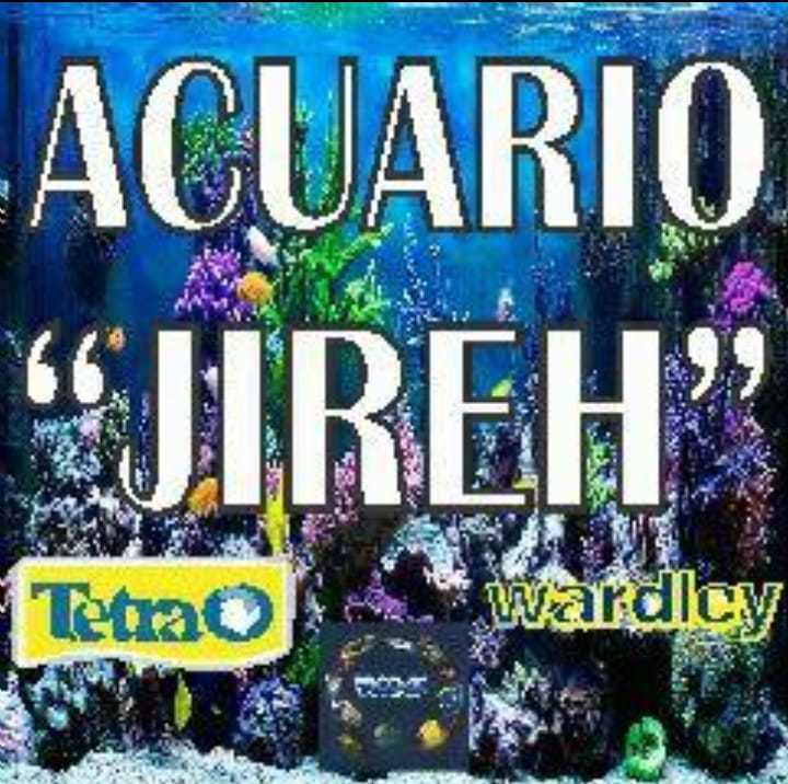 ACUARIO JIREH