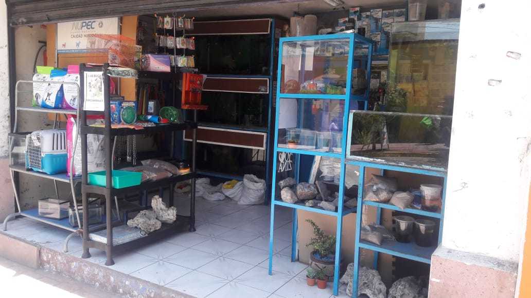 ACUARIO NEREO 