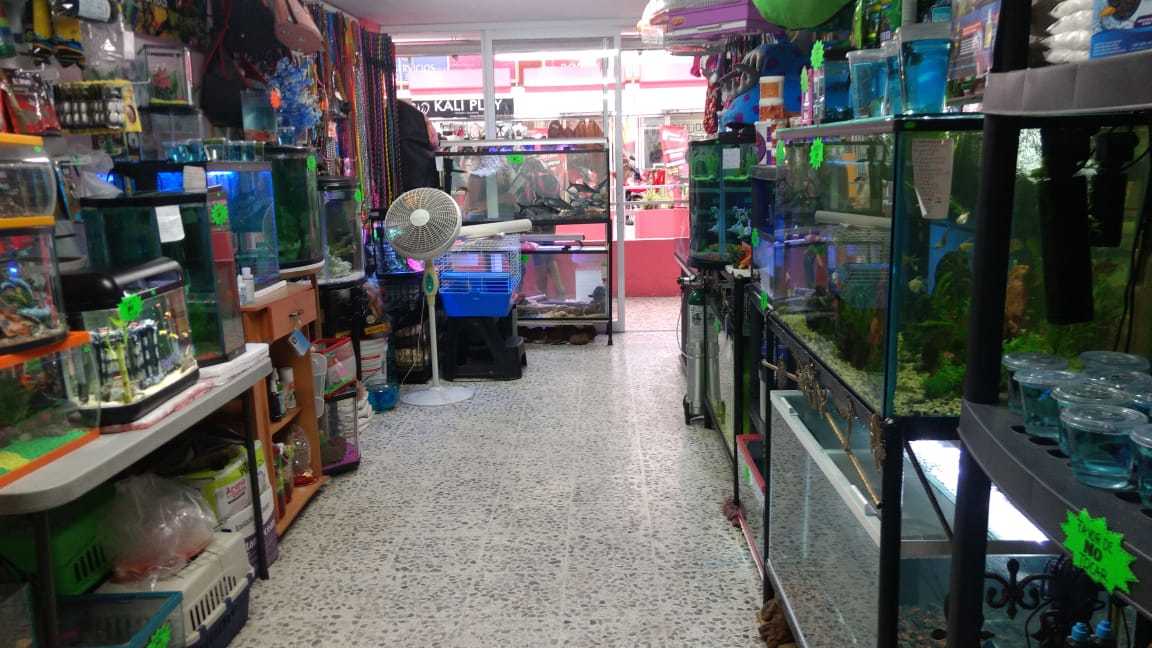 MIACUARIO LAND TOLUCA 