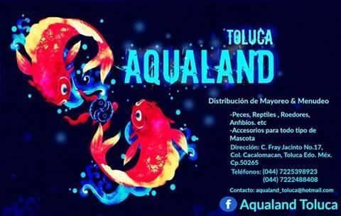 ACUARIO AQUALAND TOLUCA 