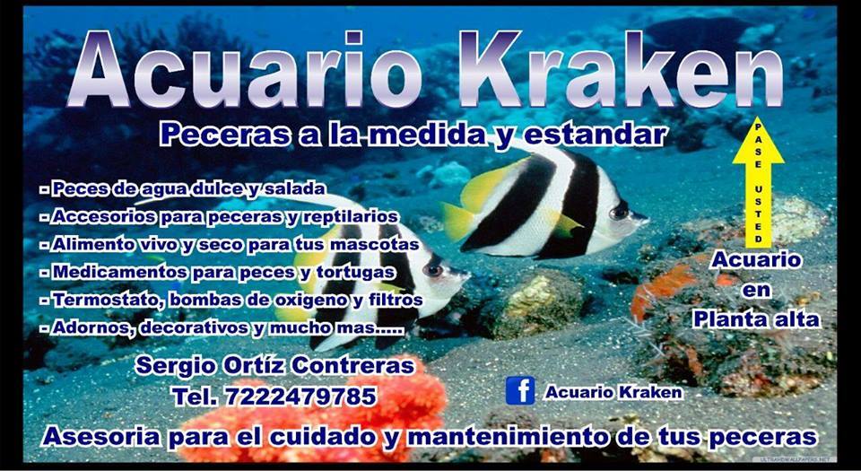 ACUARIO KRAKEN 
