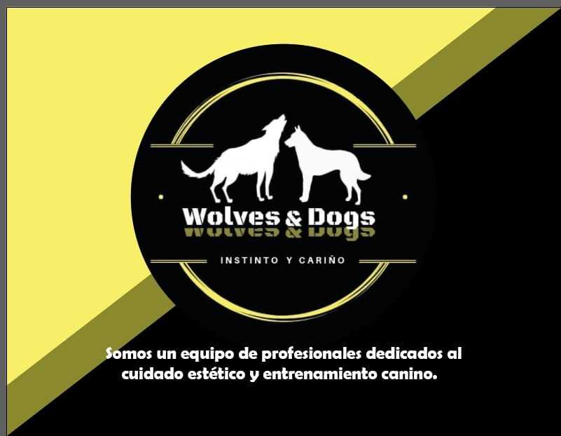 Wolves & dogs 