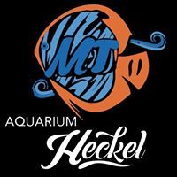 AQUARIUM HECKEL 